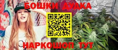спиды Ливны
