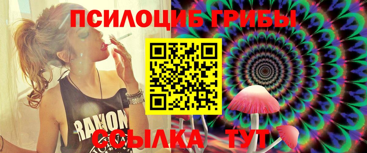 где продают   Галлюциногенные грибы Cubensis  Псилоцибиновые грибы мухоморы  Вход с VPN  Якутск 