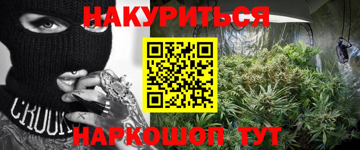 Бошки Шишки планчик Якутск